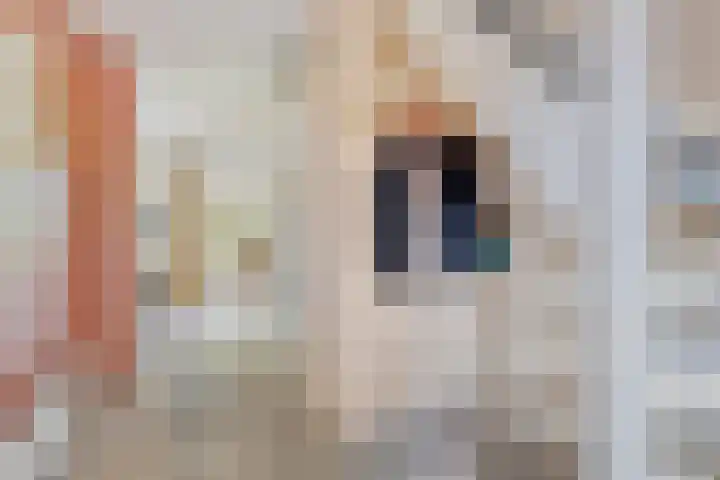 Stellingmolen 40 de Lutte thumbnail 8