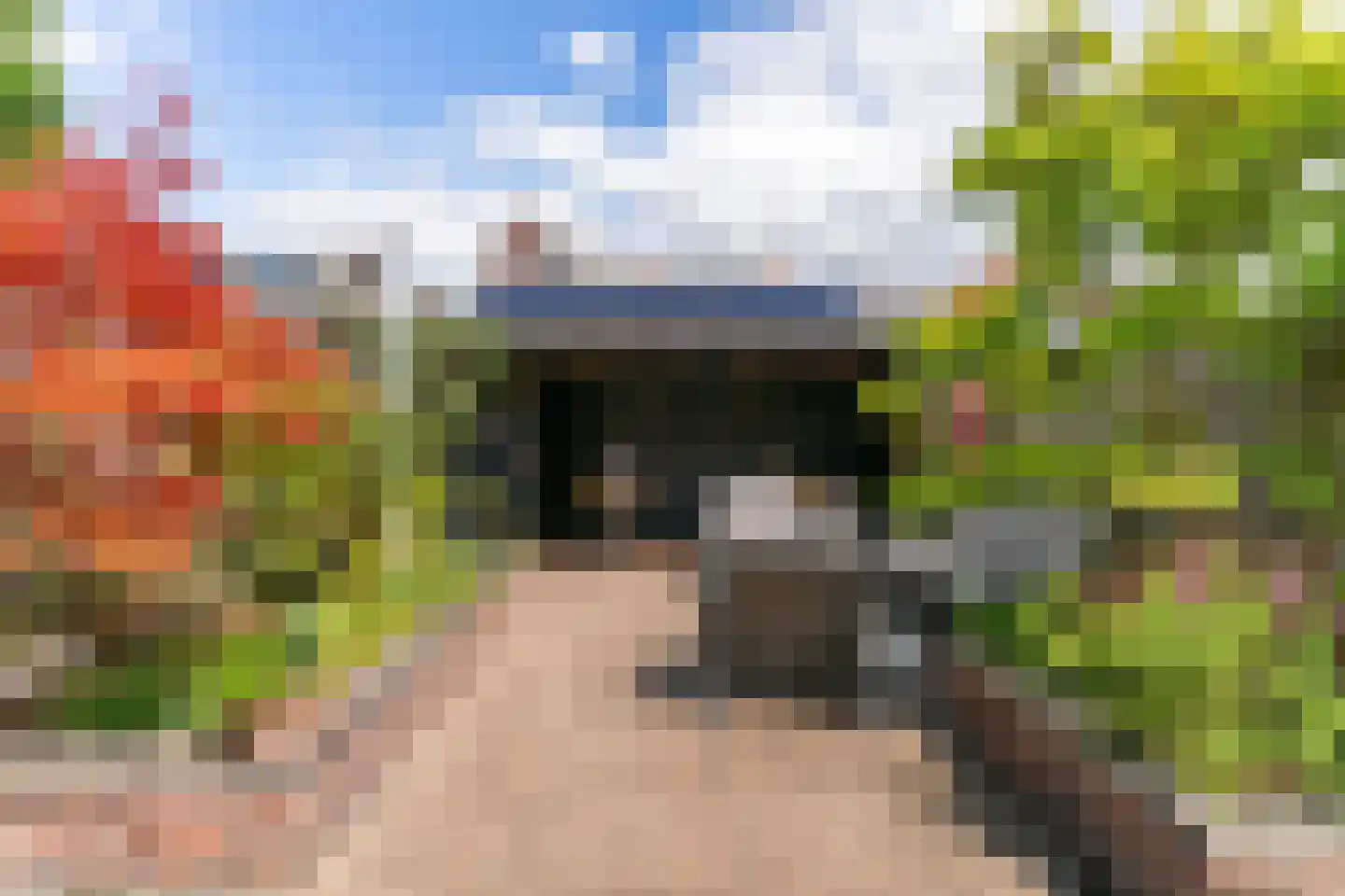 Stellingmolen 40 Heerhugowaard thumbnail 27