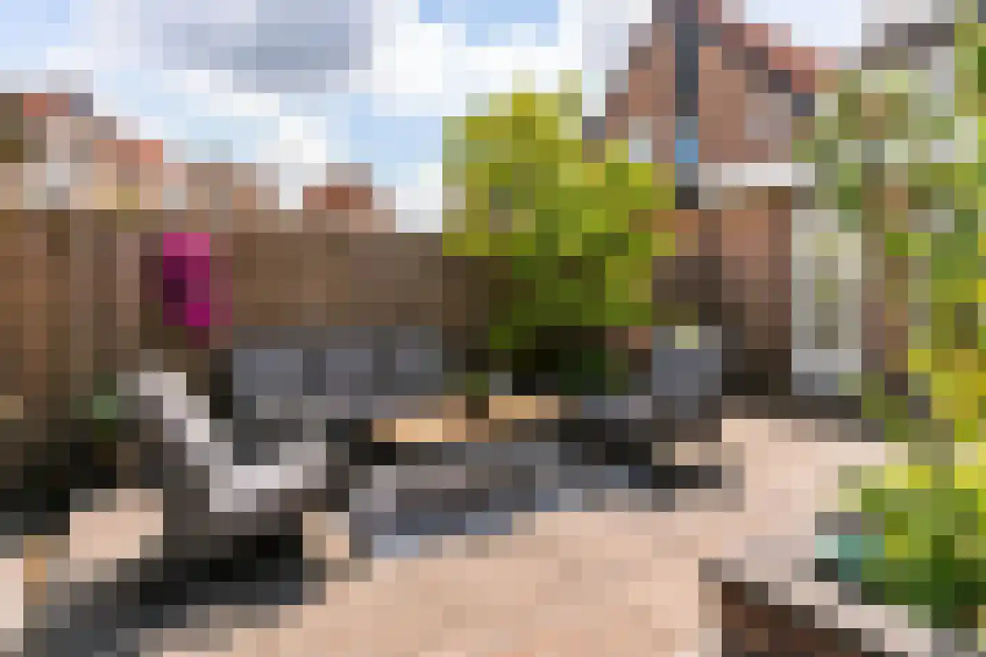 Stellingmolen 40 Heerhugowaard thumbnail 31