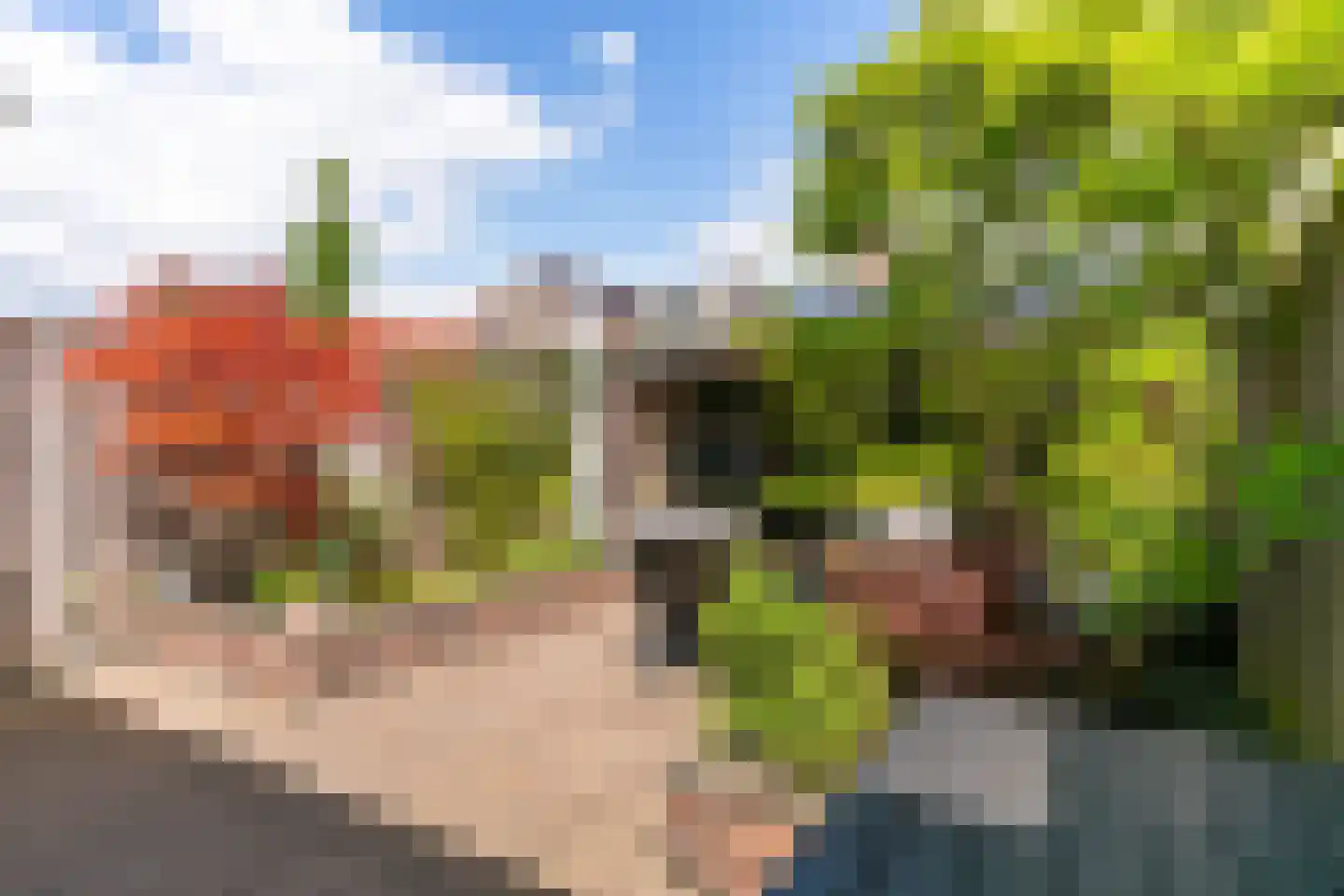 Stellingmolen 40 Heerhugowaard thumbnail 32