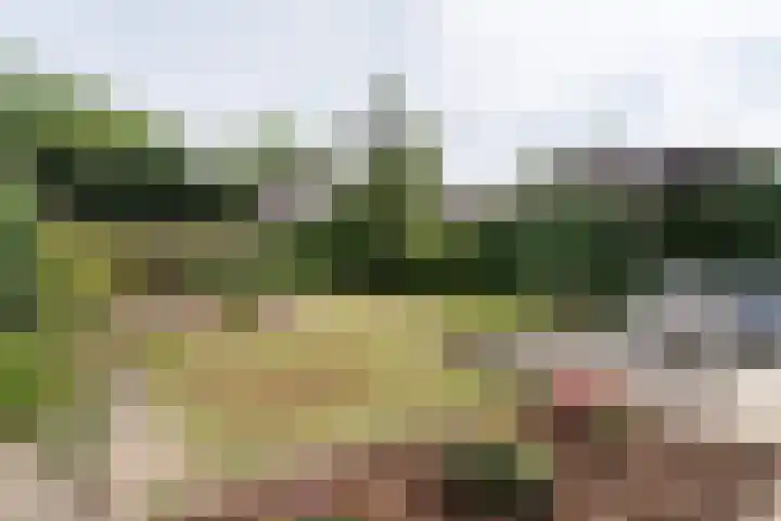 Stellingmolen 45 Weert thumbnail 30