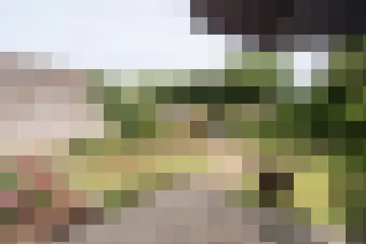 Stellingmolen 45 Weert thumbnail 31