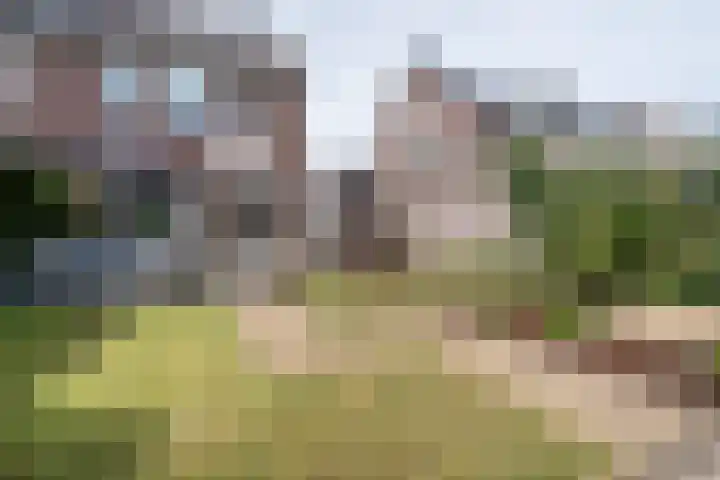 Stellingmolen 45 Weert thumbnail 33
