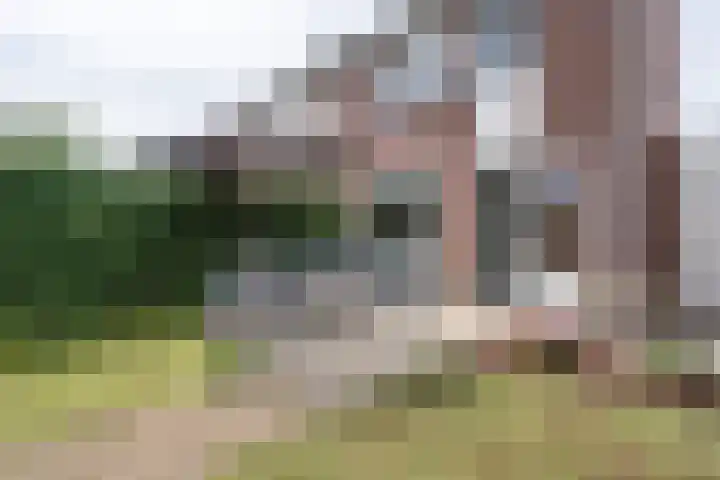 Stellingmolen 45 Weert thumbnail 34