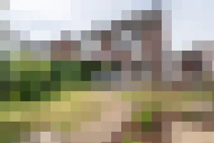 Stellingmolen 45 Weert thumbnail 4