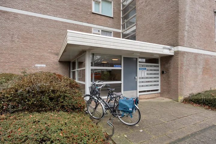 Stellingmolen 57 Alphen aan den Rijn thumbnail 25