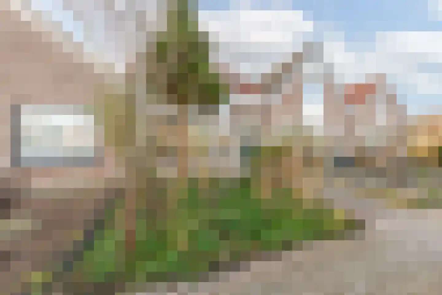 Stellingmolen 6 Heerhugowaard thumbnail 4