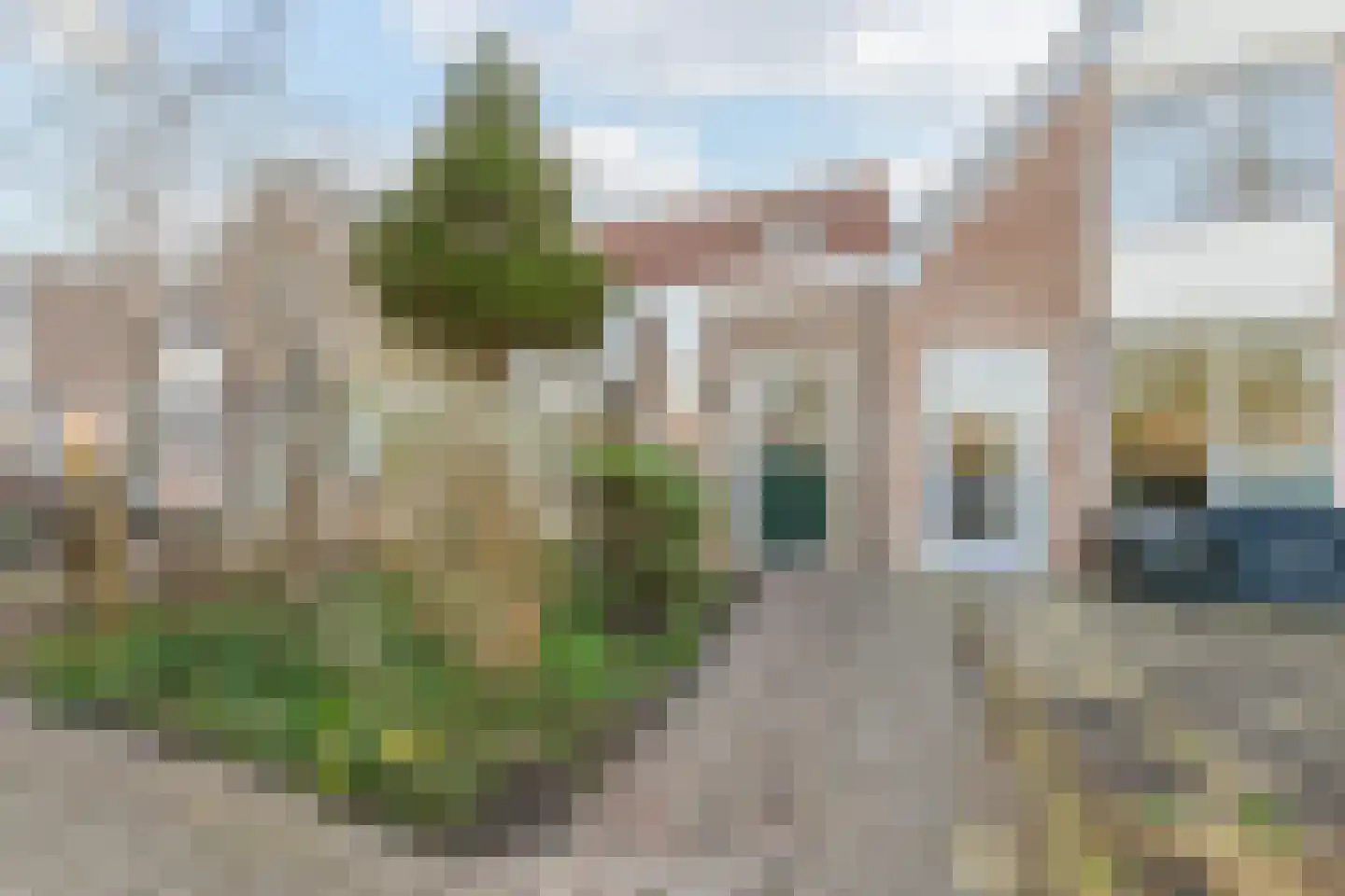 Stellingmolen 6 Heerhugowaard thumbnail 6