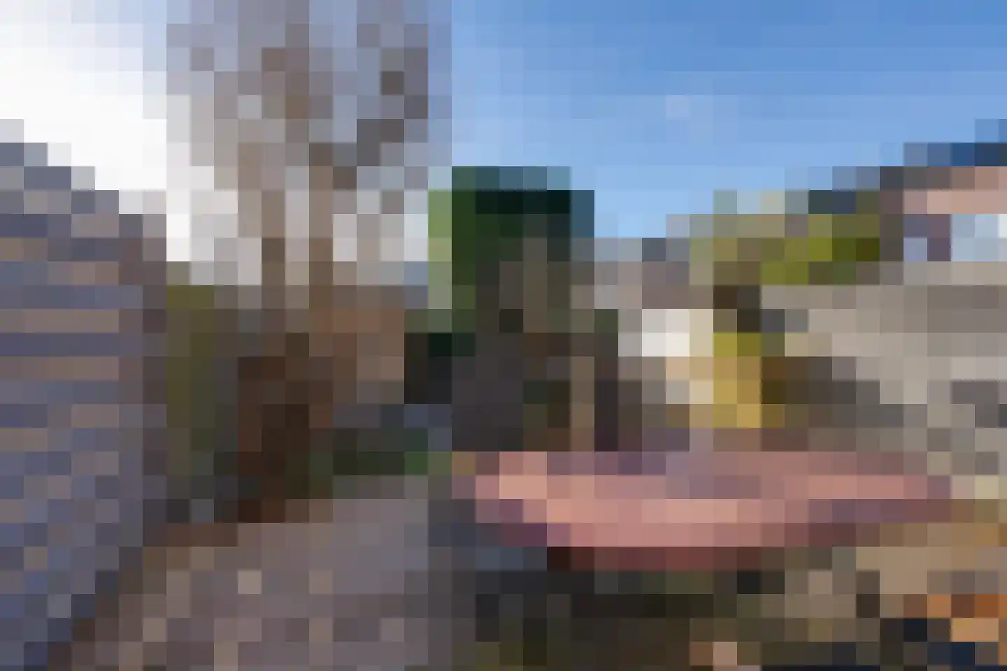 Stellingmolen 6 Purmerend thumbnail 27