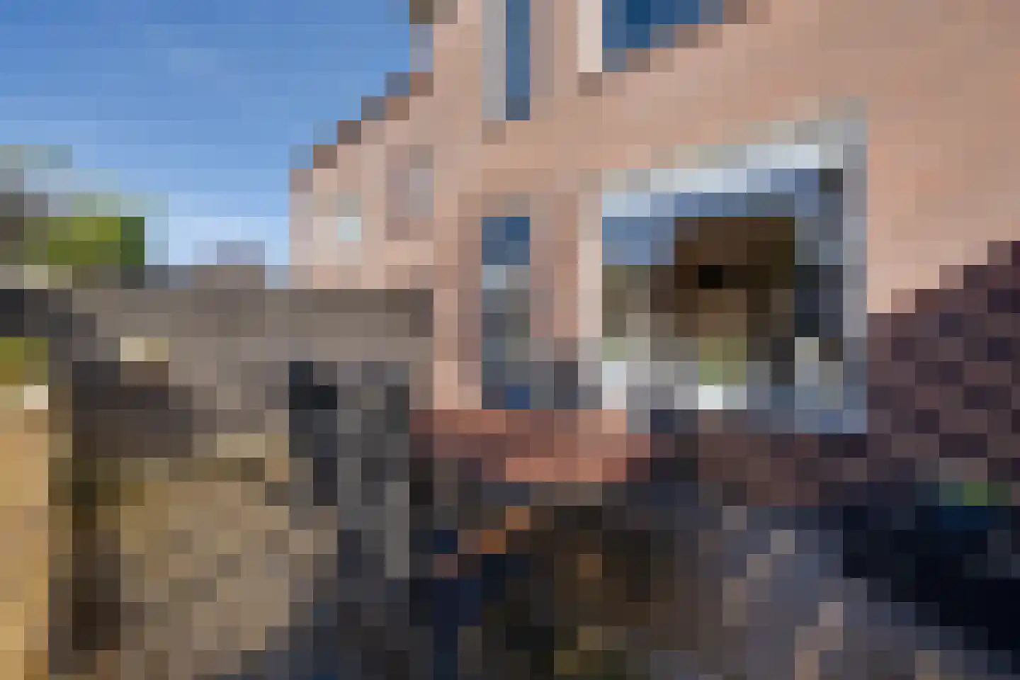 Stellingmolen 6 Purmerend thumbnail 28