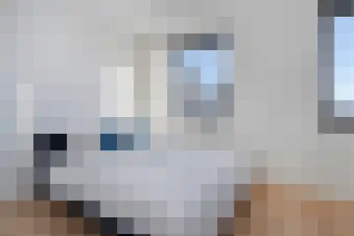 Stellingmolen 6 Zwolle thumbnail 15