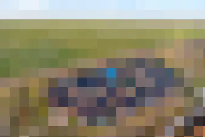 Stellingmolen 6 Zwolle thumbnail 31