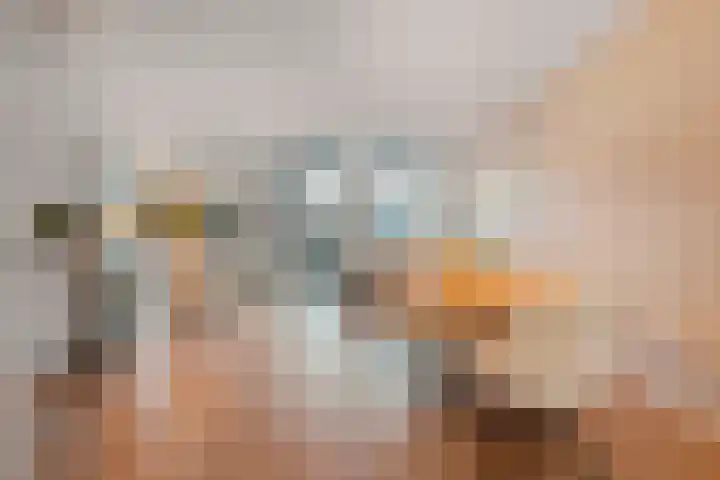 Stellingmolen 6 Zwolle thumbnail 8