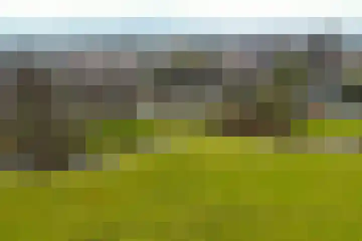 Stellingmolen 8 Alkmaar thumbnail 32
