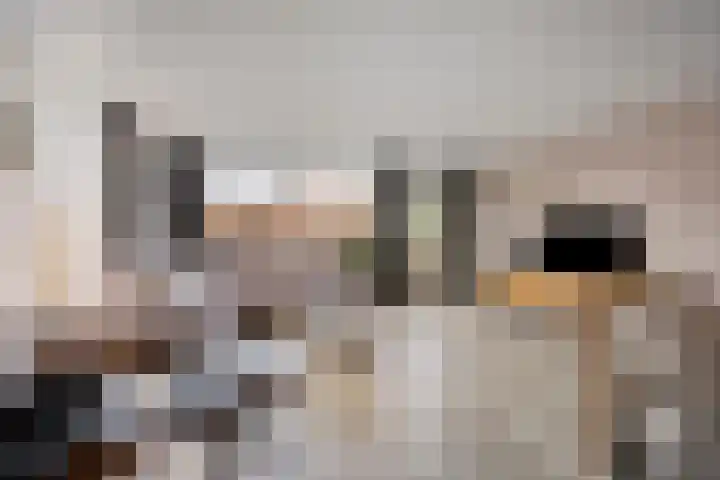 Stellingmolen 8 Alphen aan den Rijn thumbnail 11