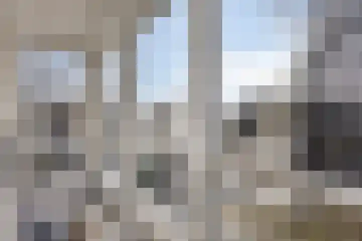 Stellingmolen 8 Alphen aan den Rijn thumbnail 26