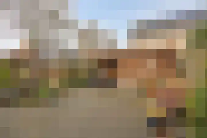 Stellingmolen 8 Alphen aan den Rijn thumbnail 31