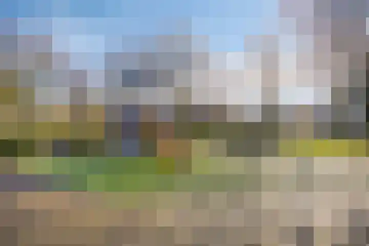 Stellingmolen 8 Alphen aan den Rijn thumbnail 36