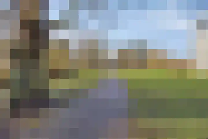 Stellingmolen 8 Alphen aan den Rijn thumbnail 37