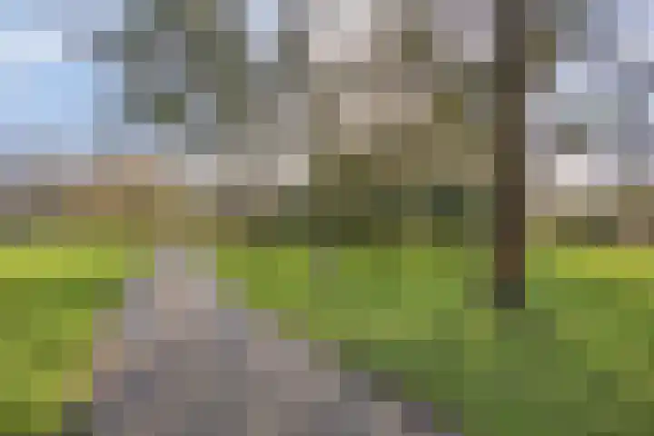 Stellingmolen 8 Alphen aan den Rijn thumbnail 38