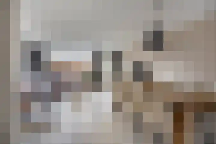 Stellingmolen 8 Alphen aan den Rijn thumbnail 7