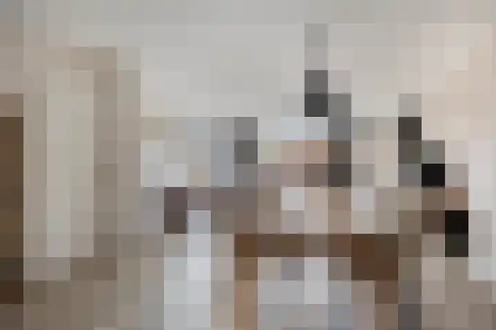Stellingmolen 8 Alphen aan den Rijn thumbnail 8