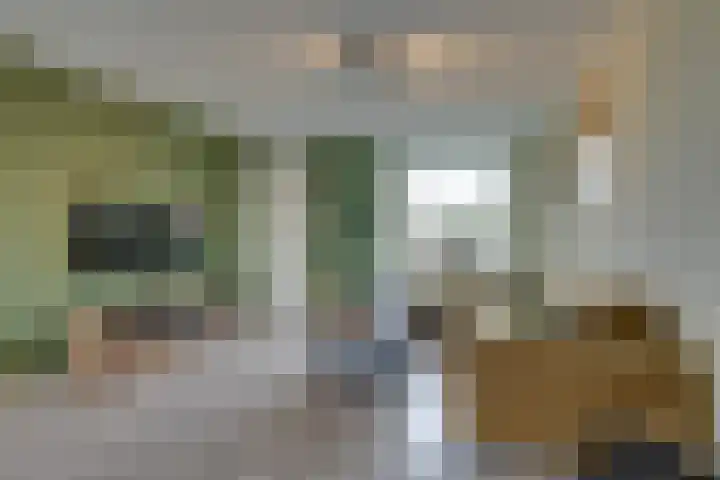 Stellingmolen 8 Edam thumbnail 10