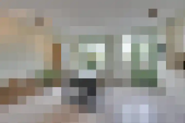 Stellingmolen 8 Edam thumbnail 16