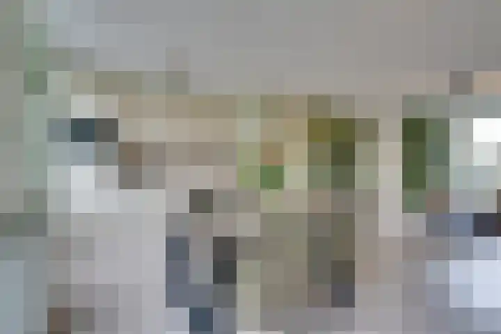 Stellingmolen 8 Edam thumbnail 21