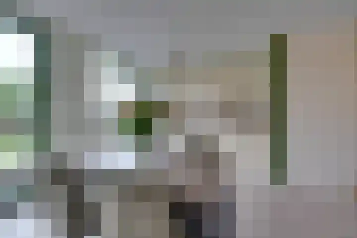 Stellingmolen 8 Edam thumbnail 22