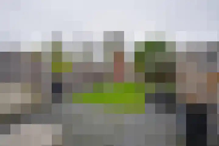 Stellingmolen 8 Edam thumbnail 23