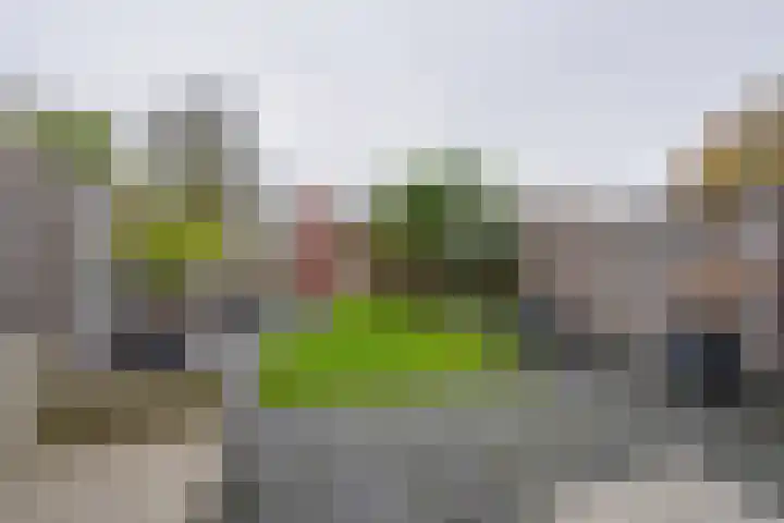 Stellingmolen 8 Edam thumbnail 24