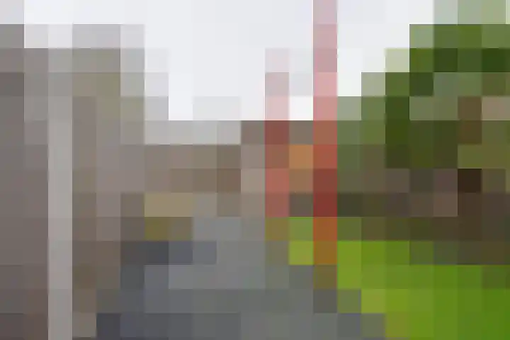 Stellingmolen 8 Edam thumbnail 25