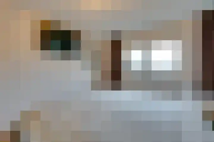 Stellingmolen 8 Edam thumbnail 30