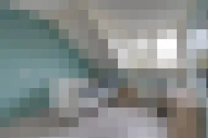 Stellingmolen 8 Edam thumbnail 33