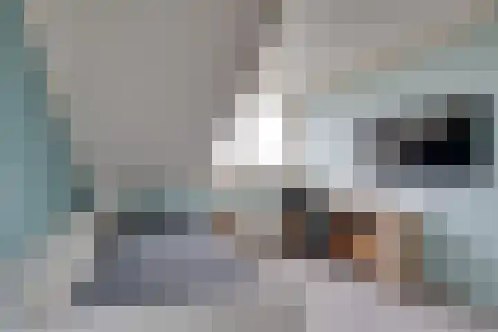 Stellingmolen 8 Edam thumbnail 34