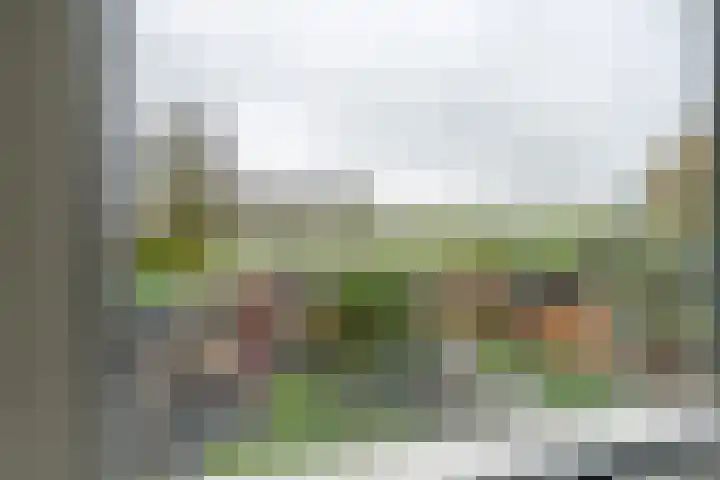 Stellingmolen 8 Edam thumbnail 35