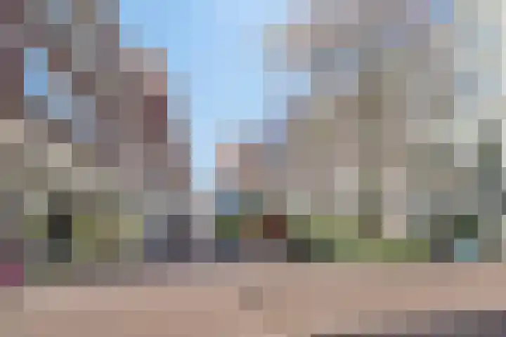 Stellingmolen 8 Edam thumbnail 53