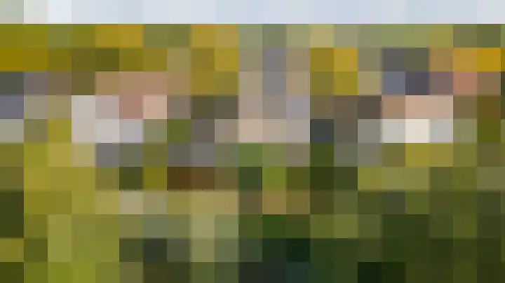 Stellingmolen 8 Weert thumbnail 38