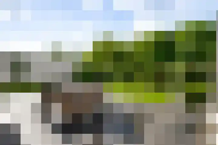 Stellingmolen 8 Weert thumbnail 42