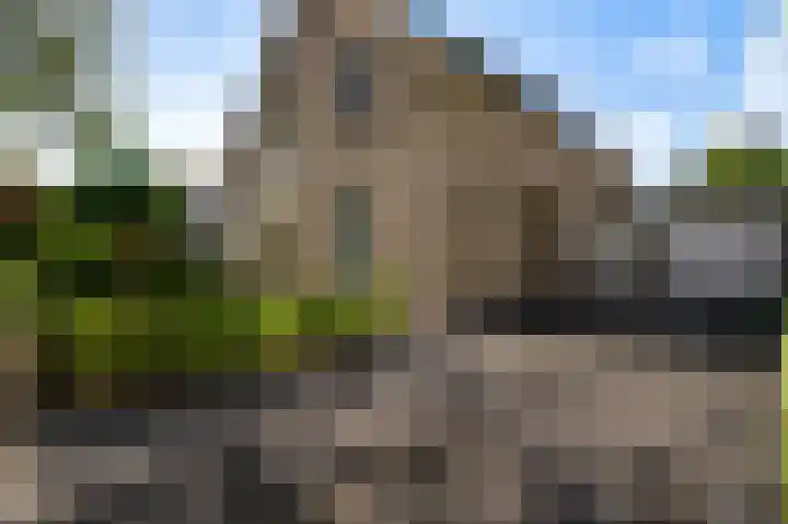 Stellingmolen 8 Weert thumbnail 48