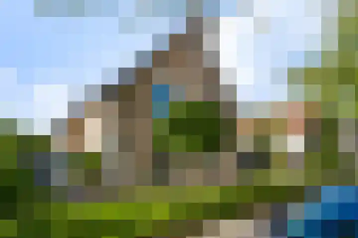 Stellingmolen 8 Weert thumbnail 50