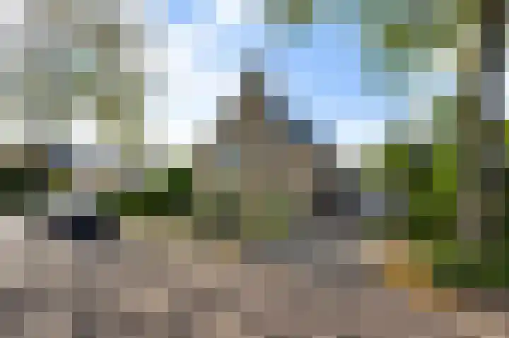 Stellingmolen 8 Weert thumbnail 51
