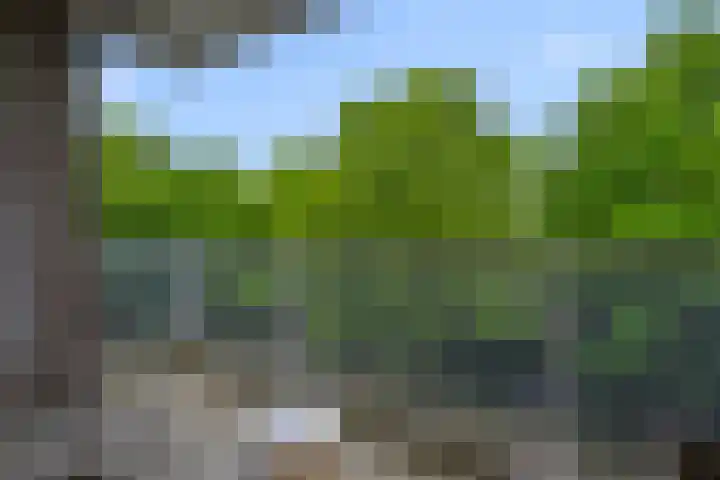 Stellingmolen 81 Alphen aan den Rijn thumbnail 19