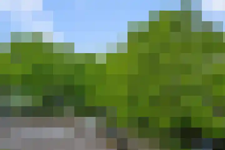 Stellingmolen 81 Alphen aan den Rijn thumbnail 20