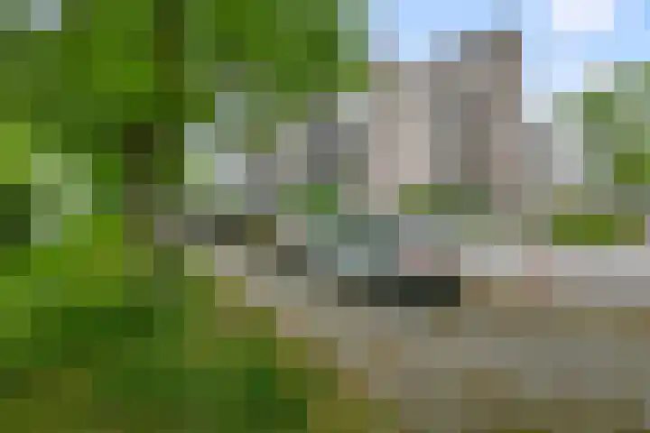 Stellingmolen 81 Alphen aan den Rijn thumbnail 21