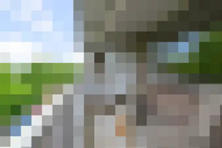 Stellingmolen 81 Alphen aan den Rijn thumbnail 5