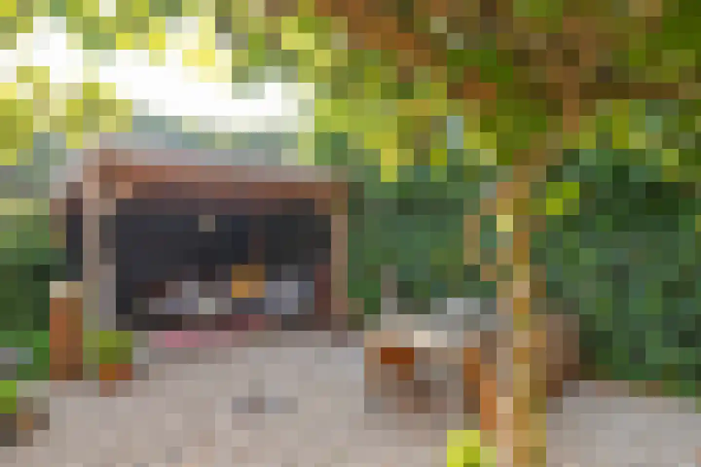 Stellingmolen 84 Herten thumbnail 25