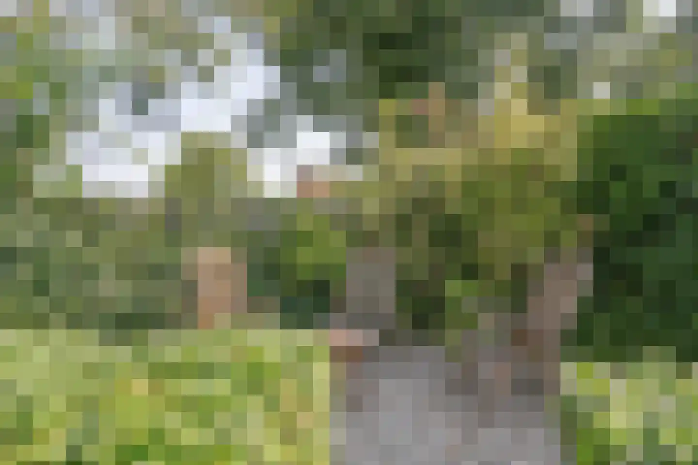 Stellingmolen 84 Herten thumbnail 28