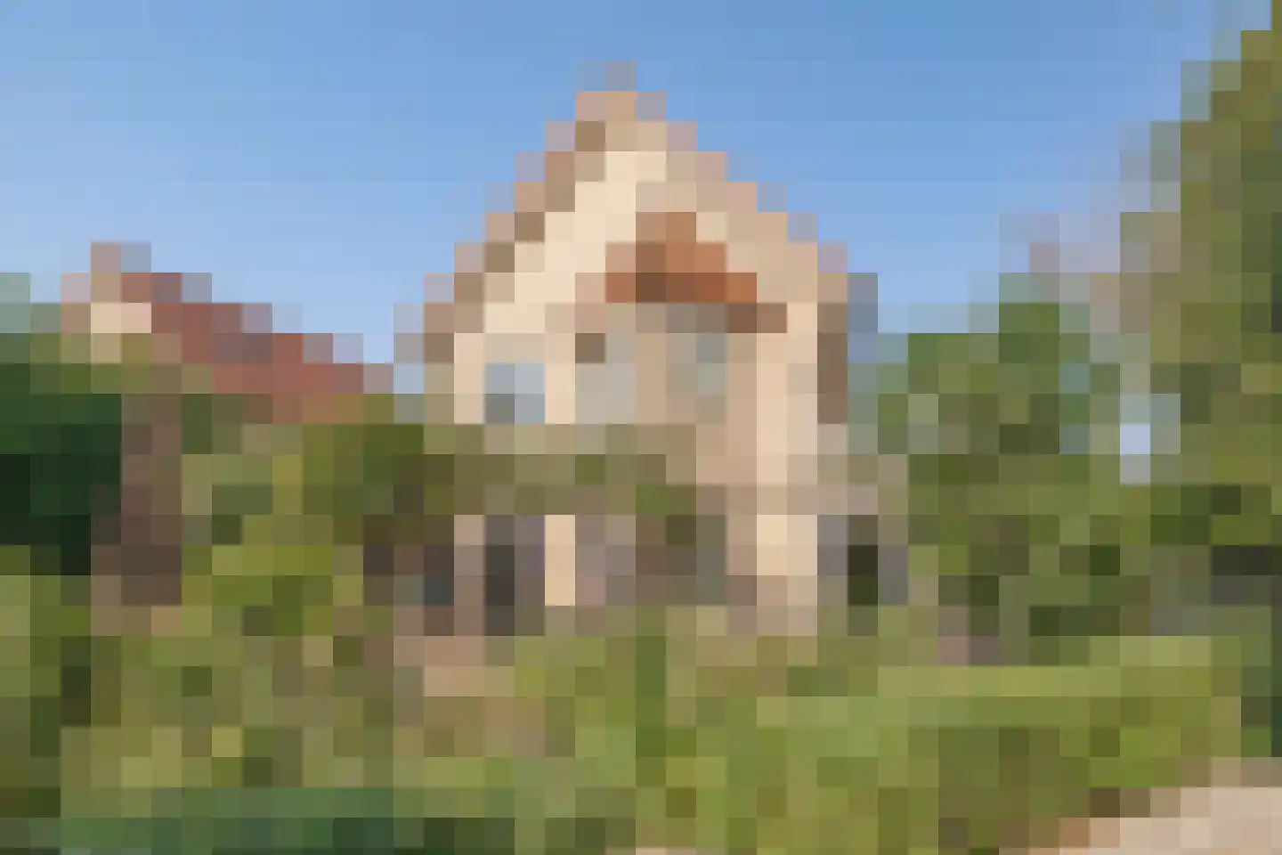 Stellingmolen 84 Herten thumbnail 29